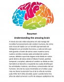 Resumen understanding the Amazon brain