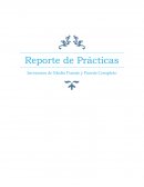 Reporte de Prácticas Inversores de Medio Puente y Puente Completo