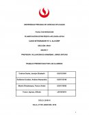 PLANIFICACIÓN ESTRATÉGICA APLICADA AD184 CASO INTEGRADOR N° 2: ALICORP