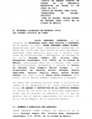 Amparo directo quejoso vs persona moral