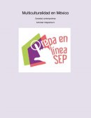 Multiculturalidad en México Sociedad contemporánea Actividad integradora 5