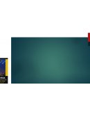 Historia de La Gaviota y un Gato