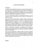 Neumonia Bacteriana Piogena Revision Bibliografica