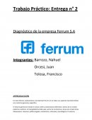 Trabajo Práctico: Entrega n° 2 Diagnóstico de la empresa Ferrum S.A