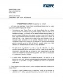 Análisis del desempeño de Carlos Pérez como gerente regional de ventas: Causas y soluciones