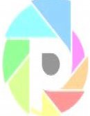 Resumen del libro: Todos deberíamos ser feministas