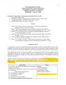 SEGURIDAD Y SALUD EN EL TRABAJO PRODUCCIÓN ORAL Y ESCRITA