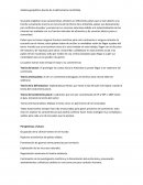 Análisis geopolítico (teoría de la defrontacion Antártida)