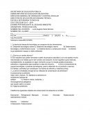 Plan de trabajo individual NEM