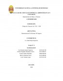 Seguro de Transportes en Honduras