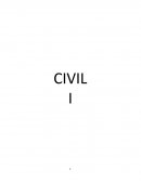 Civil. Acto juridico