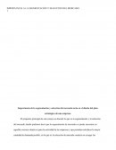 Importancia de la segmentación y selección del mercado meta en el diseño del plan estratégico de una empresa