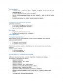 Biomecanica. La cintura pélvica