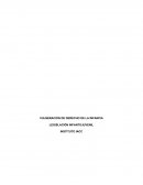 Legislacion infanto juvenil semana 5