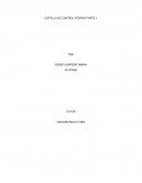 CARTILLA DE CONTROL INTERNO PARTE 1