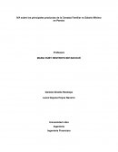 Iva en la canasta familar