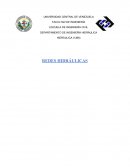 Proyecto Mallas Cerradas Hidráulica