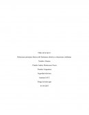 Seguridad electrica 1