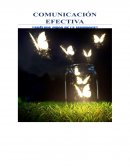 El circo de las mariposas, comunicación