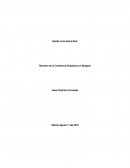 Resumen de la Conferencia Dictada por el Abogado