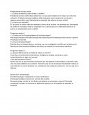 Preguntas sobre evolución, fisiologia de la neurona y biopsicologia