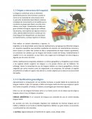 Origen y estructura del español