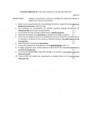 Evaluación diagnóstica B sin valor para calificación, solo para participaciones