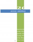 ANTECEDENTES NECESARIOS PARA LA IMPLEMENTACION DE UN PLAN DE RESPONSABILIDAD SOCIAL EMPRESARIAL
