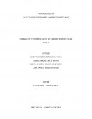 FORMACIÓN Y COMUNICACIÓN EN AMBIENTES VIRTUALES