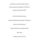 ENFERMERIA EN SALUD MENTAL COMUNITARIA