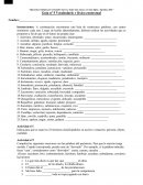 Guía nº 5 Vocabulario y léxico contextual