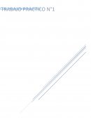 Acercamiento a Acompañante terapeutico