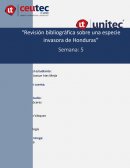 Ejercicos de clase costos y presupuestos