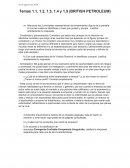 Temas 1.1, 1.2, 1.3, 1.4 y 1.5 (BRITISH PETROLEUM)