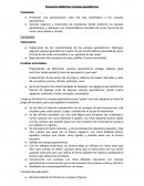 Secuencia didáctica: Cuerpos geométricos