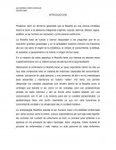 Los fundamentos de la filosofia (manuscrito no publicado)