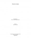 Taller 1 La planeación estratégica