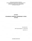 Activos: intangibles, diferidos, inversiones y otros activos