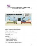 Protocolo de ergonomía