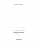 Análisis el nombre de la rosa