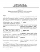 PRÁCTICA DE LABORATORIO Productividad