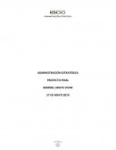 Informe final estrartegia de negocio