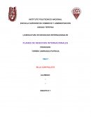 PLANES DE NEGOCIOS INTERNACIONALES