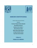 DERECHO-CONSTITUCIONAL