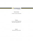 Actividad 2- análisis organizacional