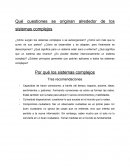 Qué cuestiones se originan alrededor de los sistemas complejos