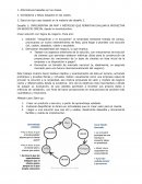IMPLEMENTAR UN MVP Y MÉTRICAS QUE PERMITAN EVALUAR & PROYECTAR UN NEGOCIO INICIAL desde la incertidumbre