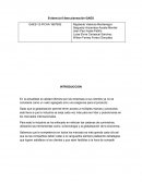 Evidencia 6:fase planeación-GAES MODUGUADUA S.A.S