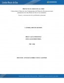 PROYECTO EL SERVICIO AL OTRO