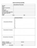 Pauta evaluación respiratorio